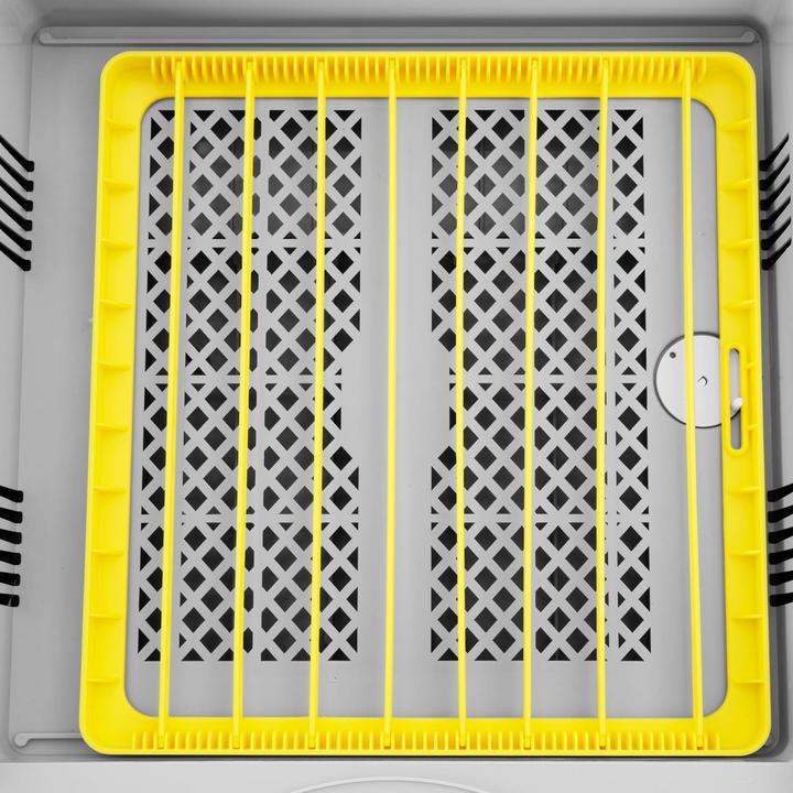 Actual product image Incubato Egg Incubator - 36 Eggs - integrated tiling lamp - fully automatic