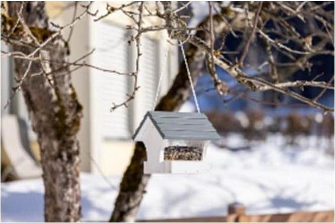Produktbild Windhager Vogelfuttersilo Sparber