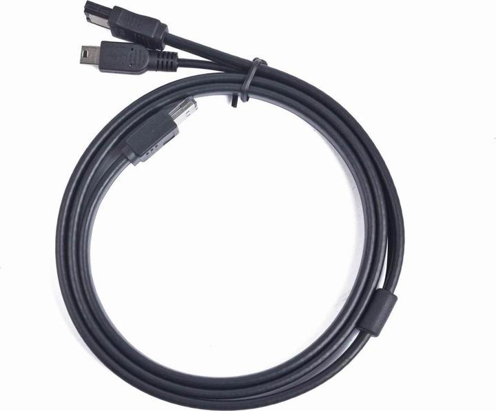 Actual product image Cablexpert ESATAp/ESATA + Mini USB 1m