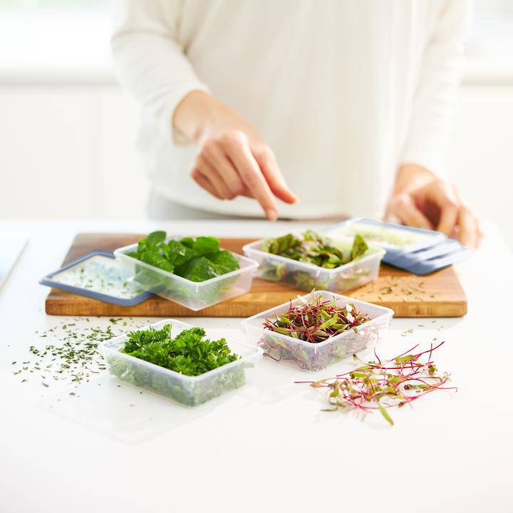 Produktbild Rotho Set Gefrierdosen Kräuter (0.20 l)