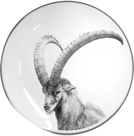 Image du produit Steinlin Assiette plate