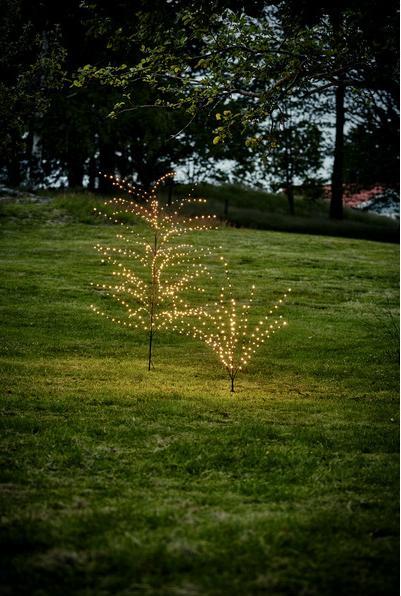 Produktbild Star Trading Decorativer Baum Reedy