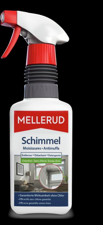 Actual product image