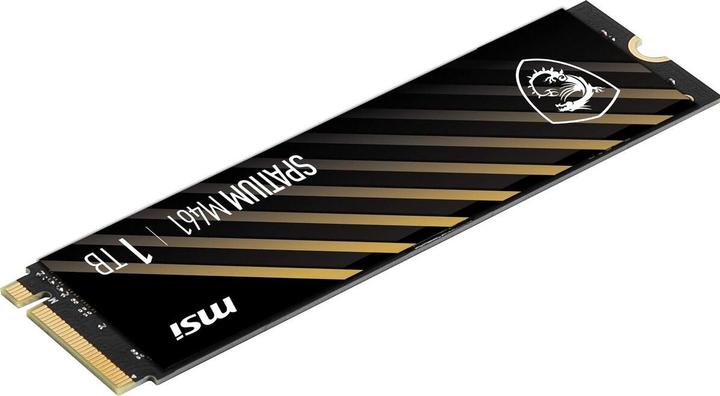 Immagine prodotto MSI Spatium M461 (1000 GB, M.2)