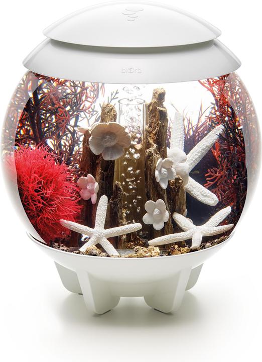 Productafbeelding Oase biOrb Aquarium 15 Decoratieset (Decoratie, Andere objecten)