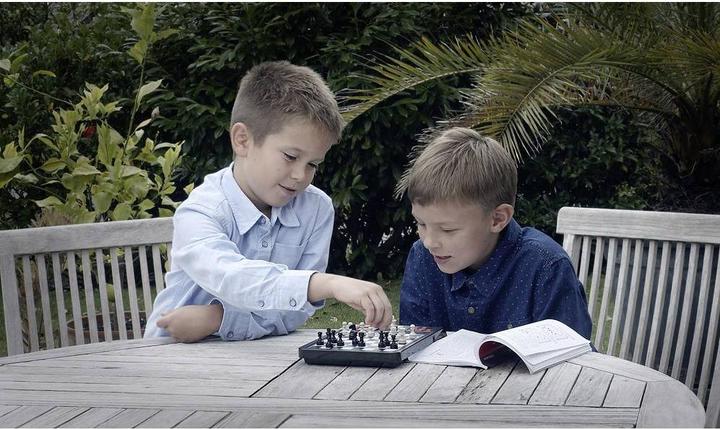 Produktbild Millennium Karpov Schachschule