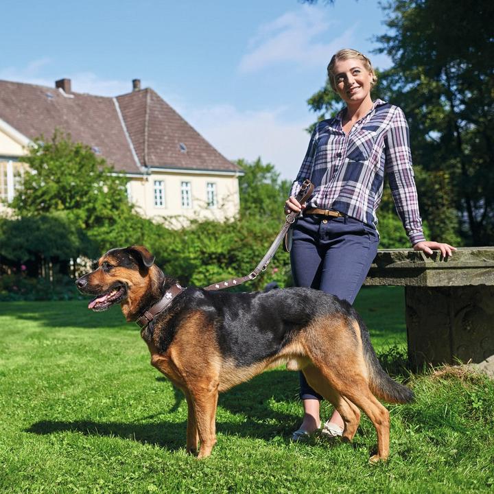 Produktbild Hunter Halsband Swiss Echtleder (Hund)