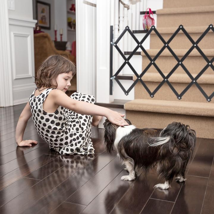 Immagine prodotto Relaxdays Barriera per cani (Gabbia per cani)