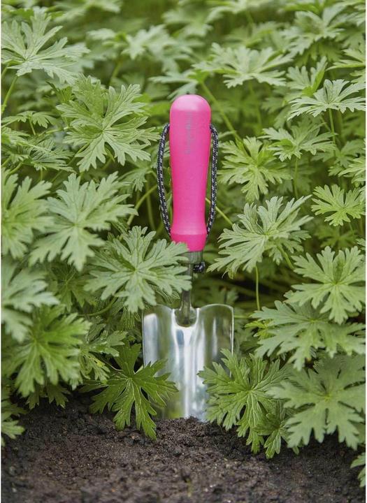 Actual product image Burgon & Ball FloraBrite