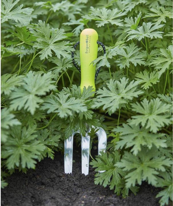 Image du produit Burgon & Ball Fourche à main FloraBrite