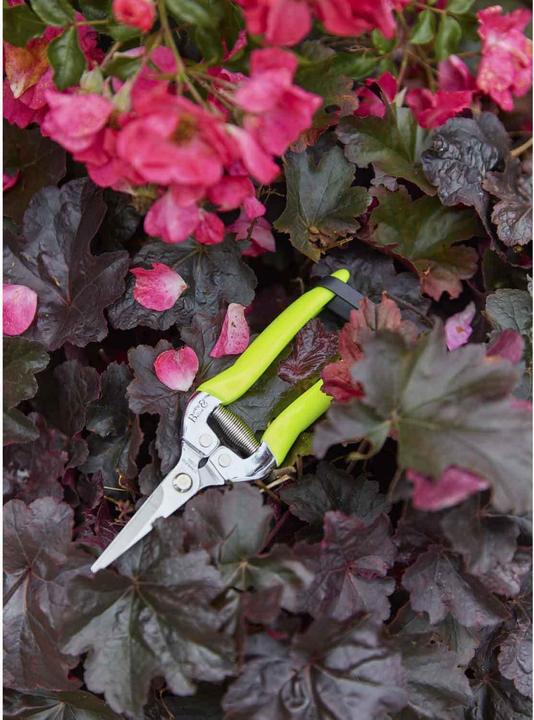 Actual product image Burgon & Ball FloraBrite flower scissors