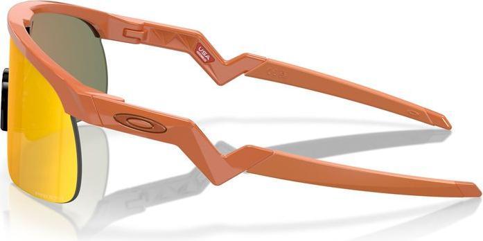 Actual product image Oakley Resistor (Mat Ginger, prizm ruby)