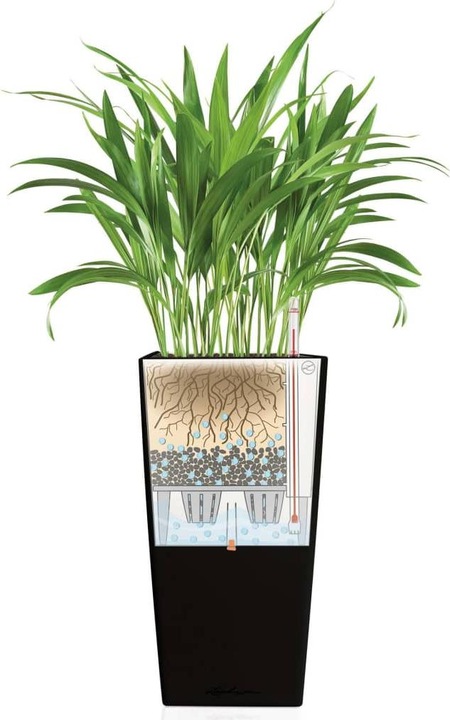 Actual product image Lechuza Cubico (29.50 cm)