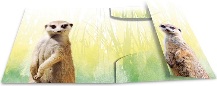 Actual product image HERMA A3 motif folder (A3, 1x)