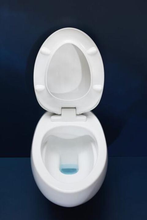 Actual product image Laufen Alessi one wall-mounted toilet, low flush, rimless, 585x390, incl. mounting kit, H820971