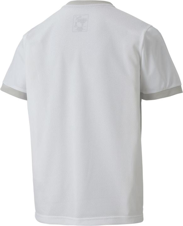 Actual product image Puma teamGOAL 23 Jersey jr-704160 (128)