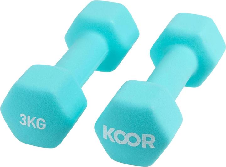 2 x 3 kg