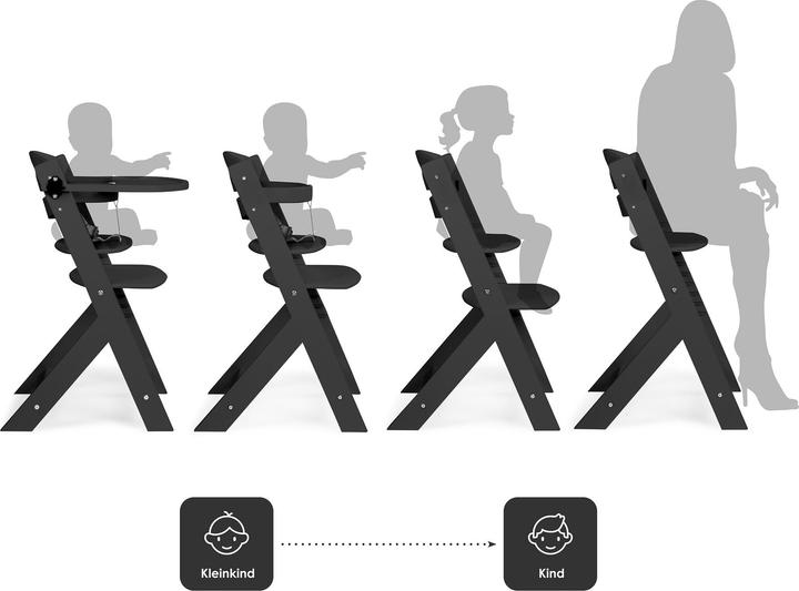 Actual product image BabyGo Family Pro Hochstuhl inkl. Tisch (Highchair)