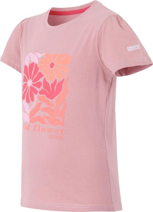 Image du produit Regatta - T-shirt BOSLEY - Enfant (170, 176)
