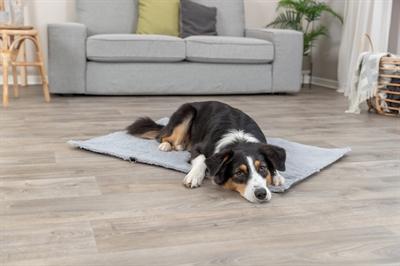 Actual product image Trixie Hondendeken Reisdeken Amy Grijs - 70X50 Cm (Dog)
