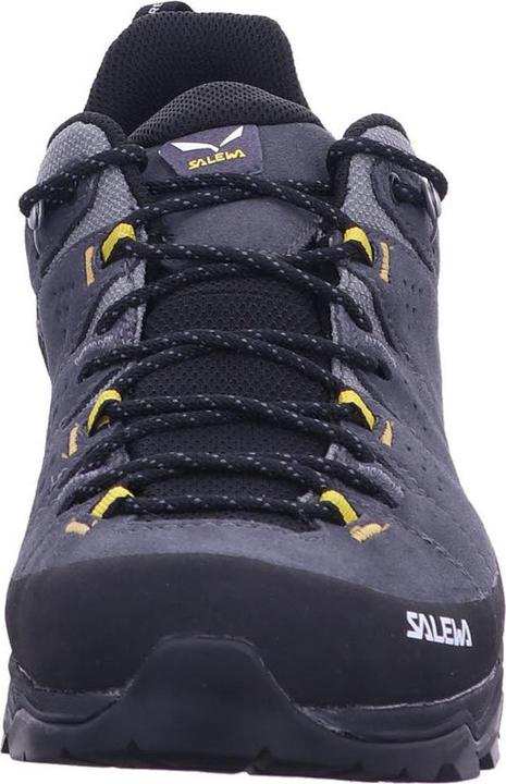 Immagine prodotto Salewa Alp Trainer 2 GTX (43)