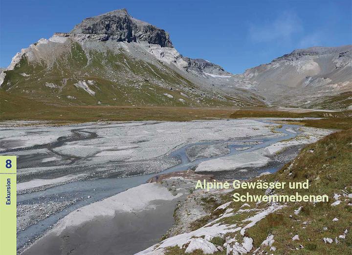 Image du produit Biodiversität zwischen Wasser und Land (Allemand, Rolf Holderegger, Florian Altermatt, Sabine Güsewell, 2024)