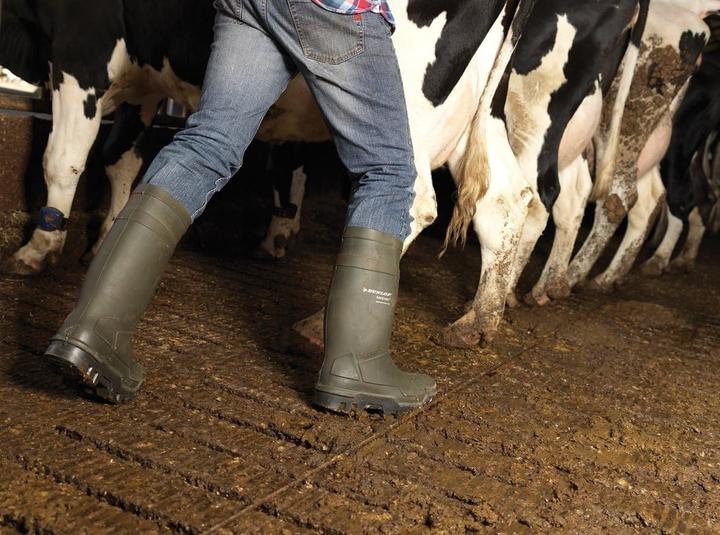 Produktbild Dunlop Purofort Thermo+ (S5, 45)