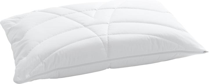 Immagine prodotto Billerbeck Climacontrol (50 x 70 cm)