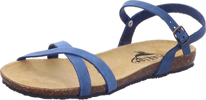 Immagine prodotto Plakton 575029 Limnea (40)