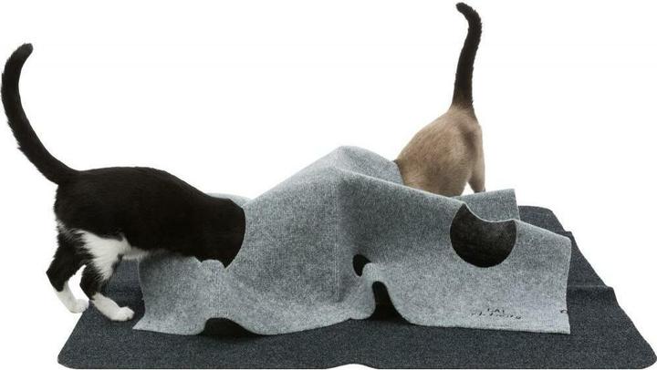 Actual product image Trixie Adventure Carpet (Cat activity toy)