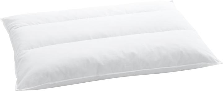 Billerbeck Terzo 250