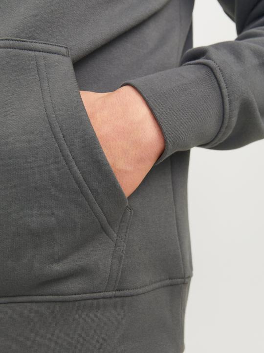 Image du produit Jack & Jones Imprimé Sweat à capuche Sweat à capuche (XL)