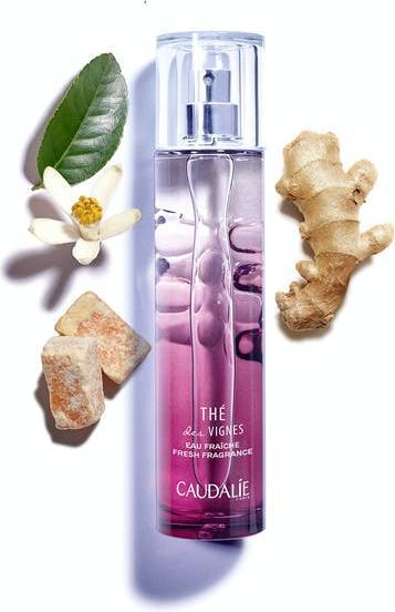 Actual product image Caudalie Thé des Vignes Fresh (Eau fraîche, 100 ml)