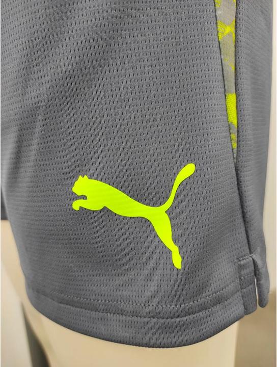 Actual product image Puma individualCUP shorts (M)