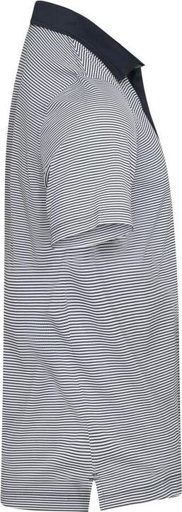 Produktbild Cutter & Buck Virtue Polo Stripes Men (L)