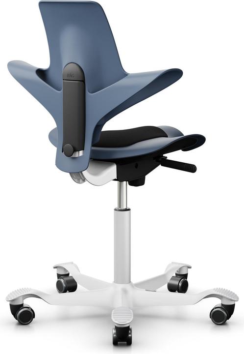 Actual product image HAG Capisco Puls 8010
