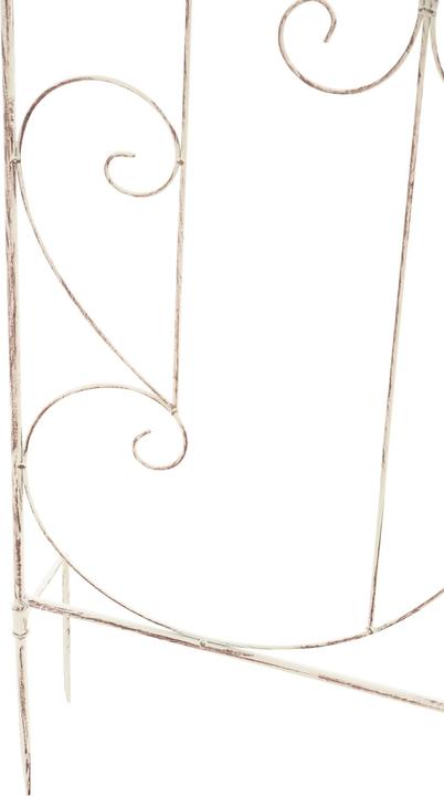 Immagine prodotto CLP Mandevilla (1 cm, 99 cm)