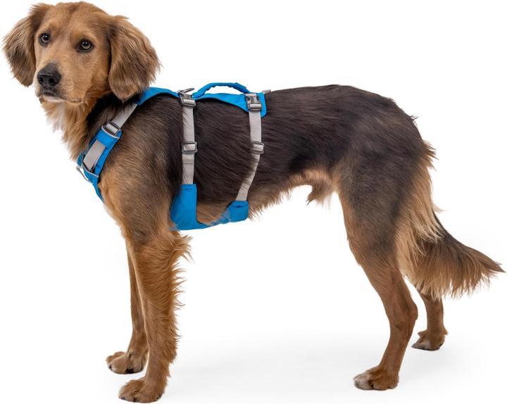 Actual product image Ruffwear Flagline dog harness (L, XL, Dog, General)