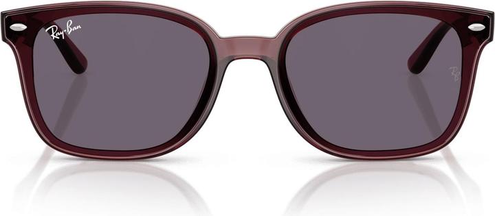 Produktbild Ray Ban RB4461D