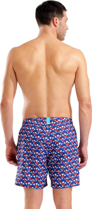 Image du produit Arena M Beach Boxer Allover (S)