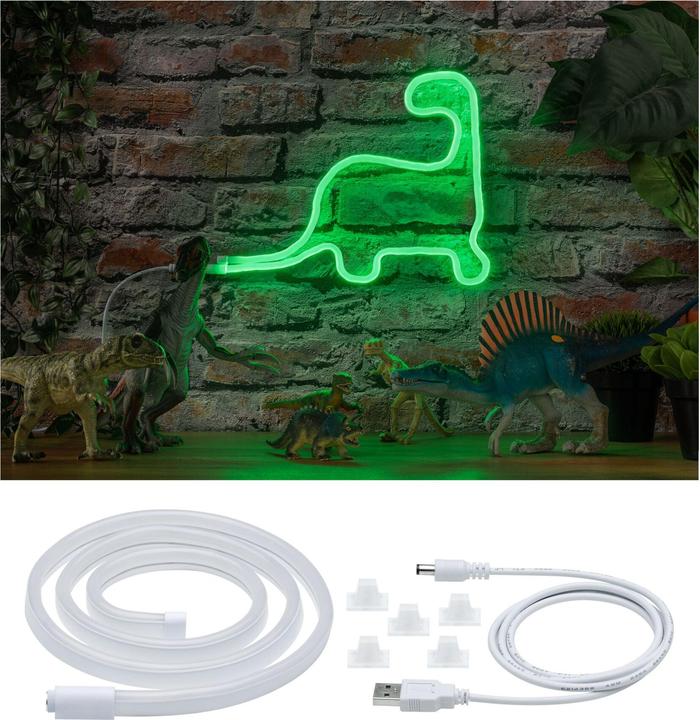 Immagine prodotto Paulmann Colorflex (Verde, 110 cm, Interno)