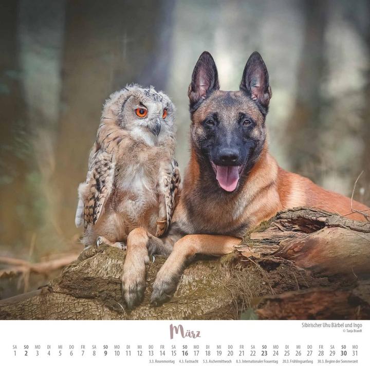 Image du produit Là où l'amour vole 2025 - Ingo, Poldi et leurs amis - Calendrier mural avec reliure spirale - (23 x 23 cm)
