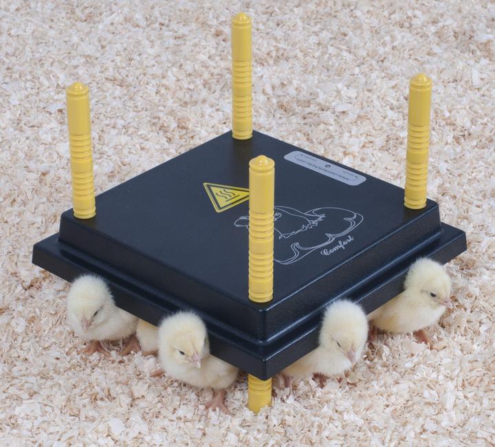 Olba Comfort