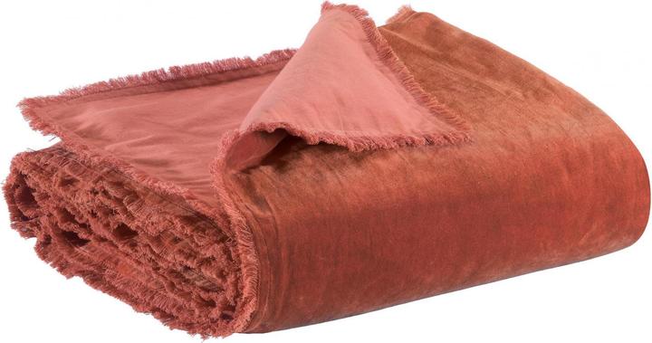 Sienne