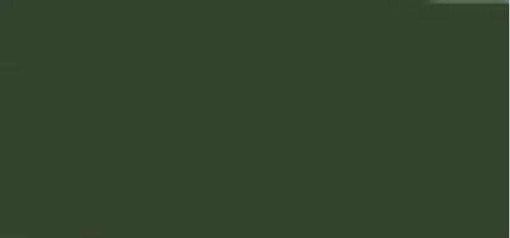 Actual product image Rimmel London Scandal Eyes Kajal (006 Green)