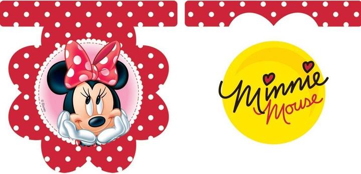 Actual product image Disney Dotted Minnie Mouse Flag Banner