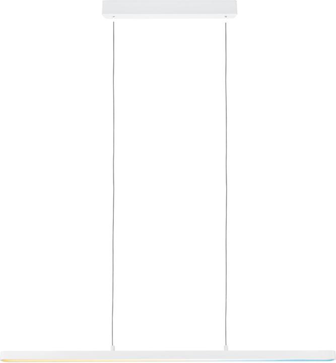 Paulmann PAUL LED hanglamp (2100 lm)
