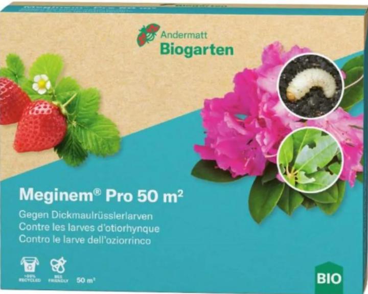 Andermatt Biogarten Meginem Pro-Nematoden gegen Dickmaulrüssler-Larven, 50qm (1 Stk)