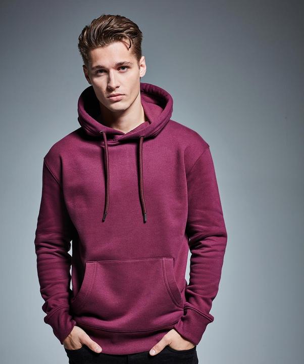 Produktbild Anthem Kapuzenpullover aus biologischem Anbau (XL)