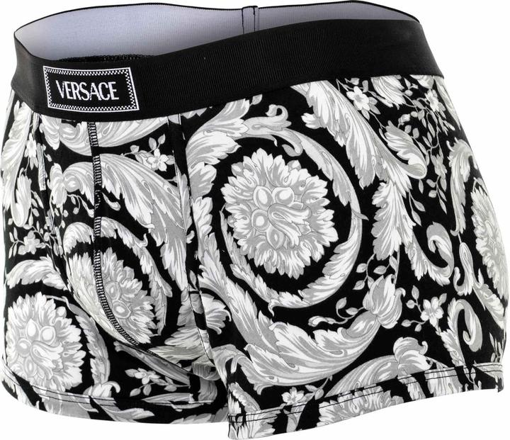 Image du produit Versace Short Trunks Topeka Fabric Baroque Print (L, Une unité par pack)